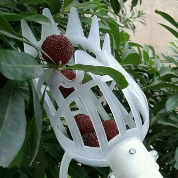 Panier de jardin en plastique multicolore, tête de cueillette de fruits, outil de cueillette de frui