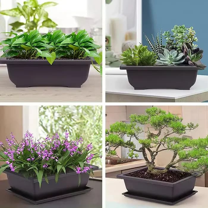 Pots de fleurs rectangulaires Imitation violet argile plantes Pot extérieur jardin paysage bonsaï