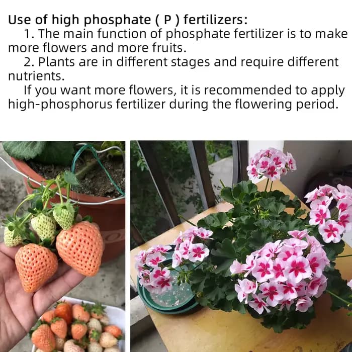 Engrais solubles dans l'eau pour fleurs professionnelles en bouteille