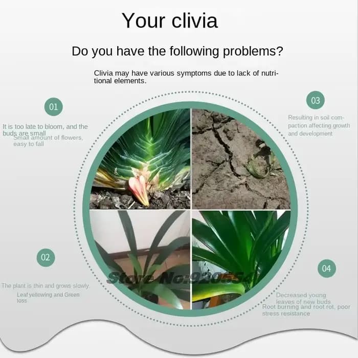 Clivia-Navigateur Premium spécialisé avec NPK Nutriments