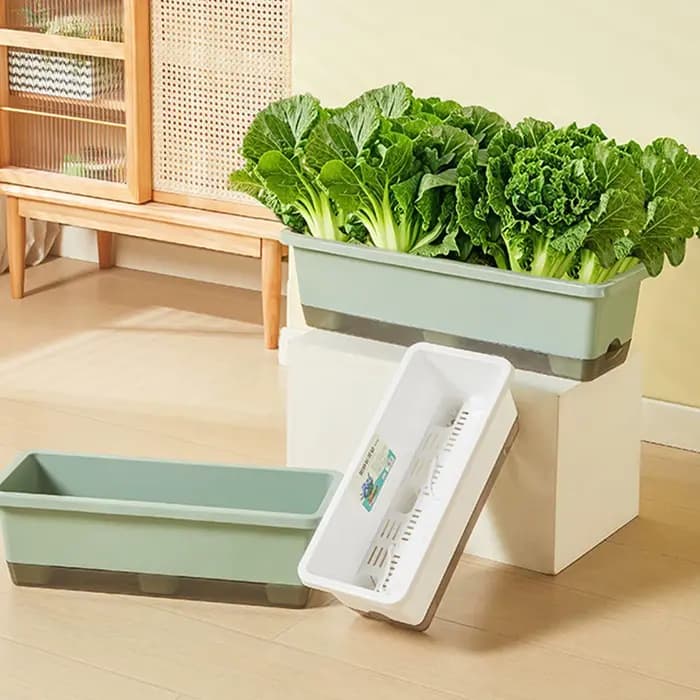 Pot de culture auto-absorbant pour légumes d'intérieur avec trou de drainage et corde absorbante