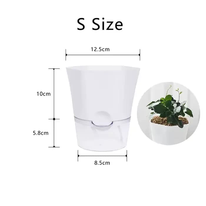 Mini pot de fleur hydroponique pour la décoration de la maison, pot de plantes vertes sans sol, plas
