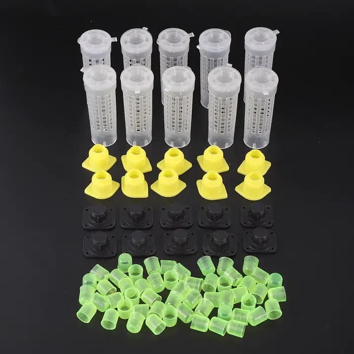 1 ensemble d'outils pour abeilles, Cages, système de gobelets d'élevage roi reine, boîte de receveur