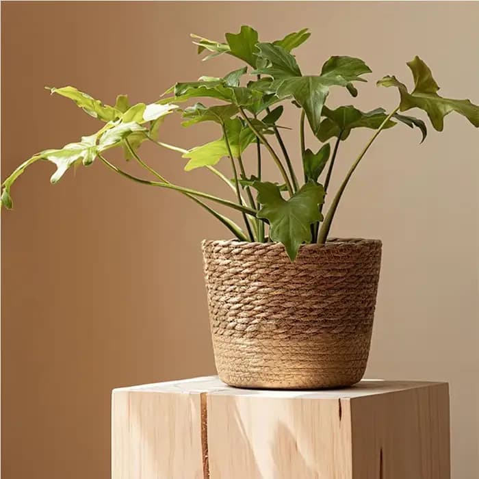 Panier de rangement en rotin tressé à la main pour plantes et fleurs