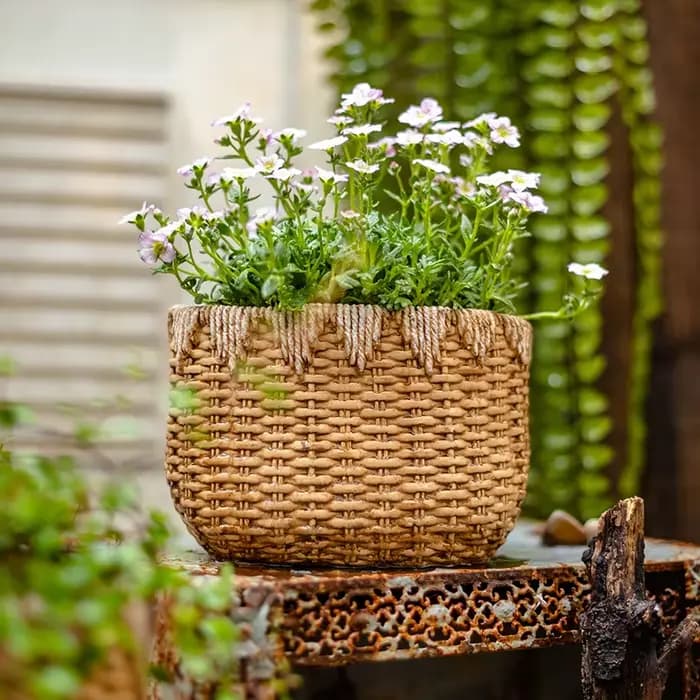 Pot de fleur en rotin tissé rustique, jardinière décorative de bureau en ciment, conteneur de plantes de jardin de balcon, conception de Faux Drainage