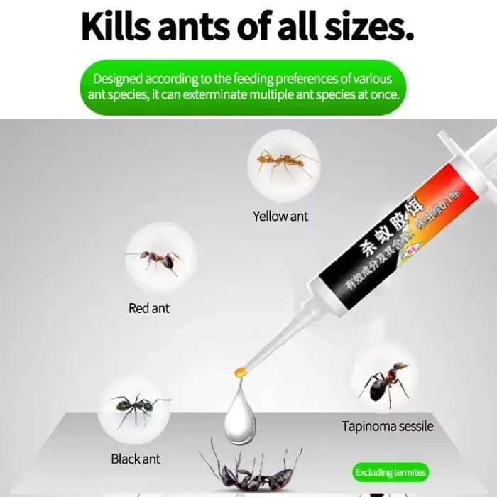 Appât anti-fourmis, lutte efficace contre les parasites et élimination des colonies de fourmis