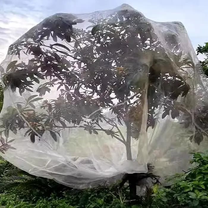 Personnaliser la largeur: 1 ~ 30m 60 maille oiseau plante barrière fleur fruits maille écran grand a