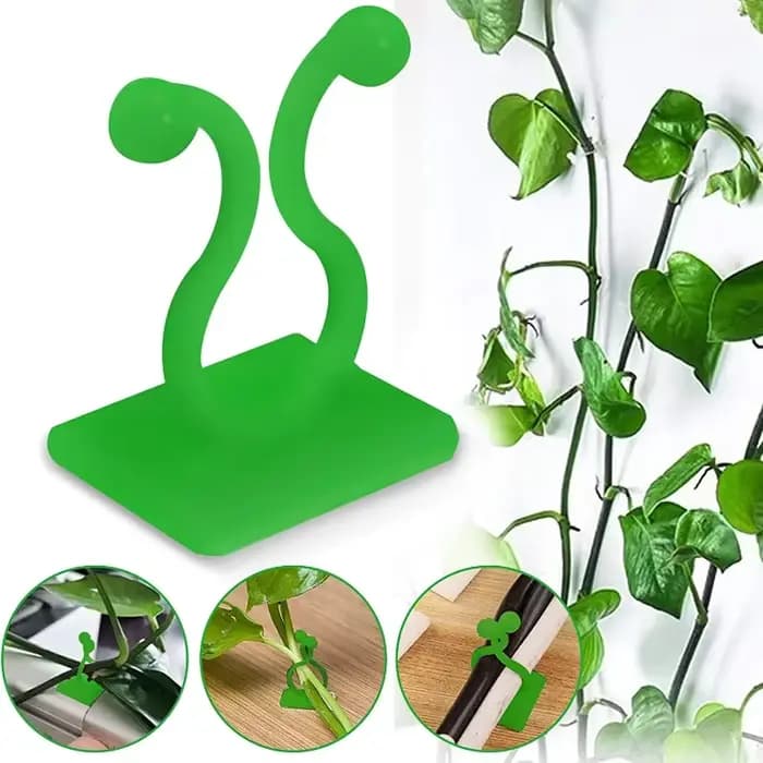 Clips de fixation murale pour plantes grimpantes, 10/30/50 pièces, fixateur de vigne en rotin, croch