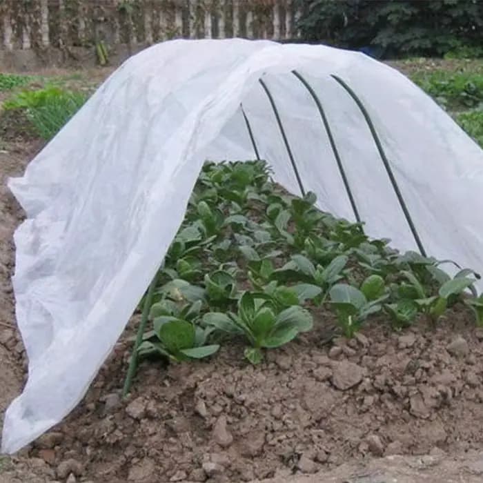 Feuille de plastique polyéthylène transparent 4/6/10M, couverture de culture agricole pour serre végétale, Film de protection Anti-UV pour jardin