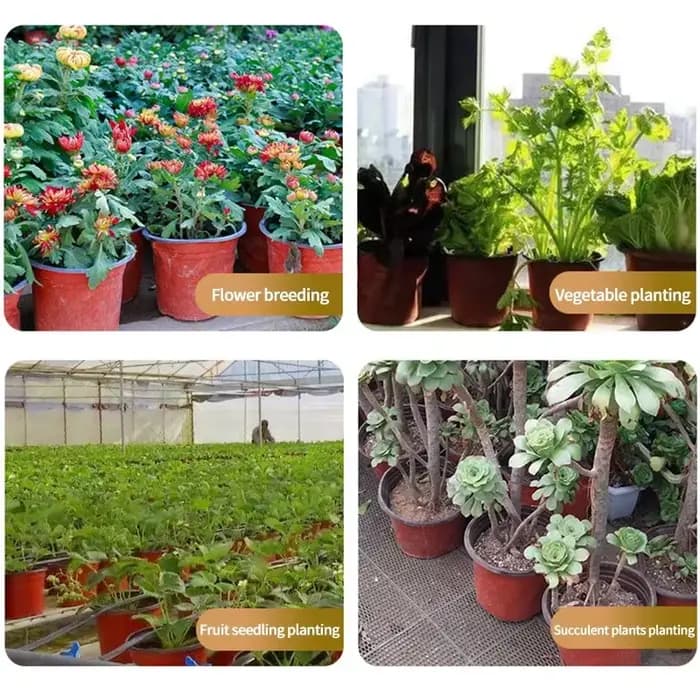 Pot de fleurs en plastique pour culture de plantes succulentes