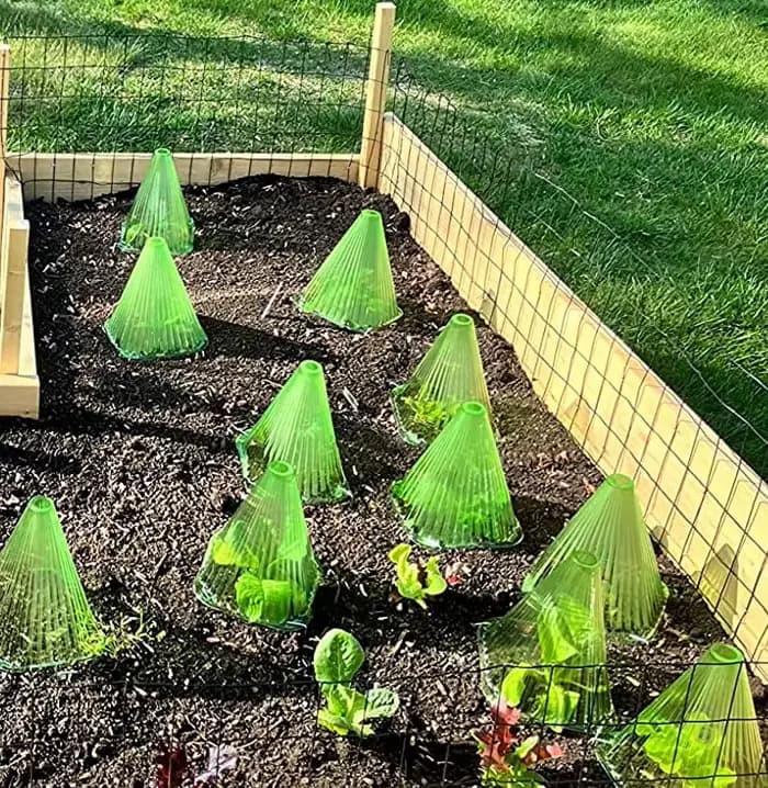 Housse de protection pour semis, accessoires pour plantes, serres de jardin, semis de légumes, fourn
