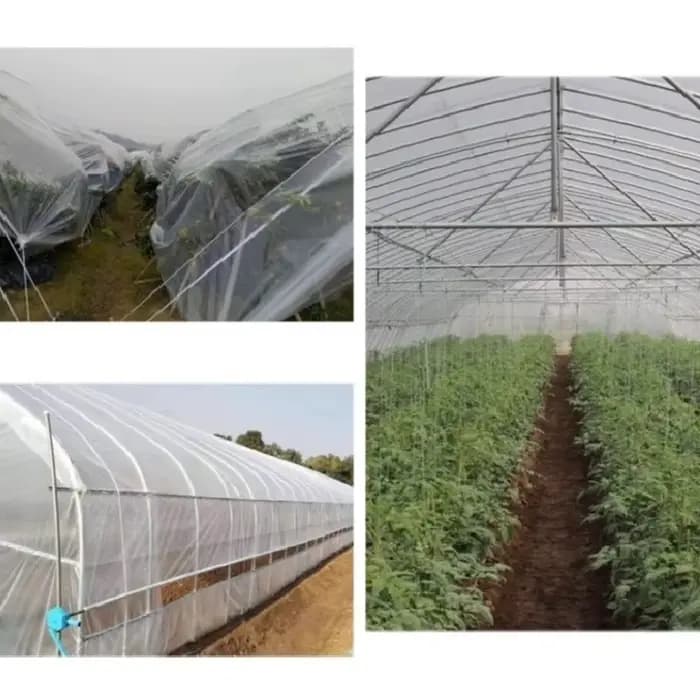 Optique-Film plastique transparent pour plantes succulentes de jardin, gril étanche à la pluie, gard