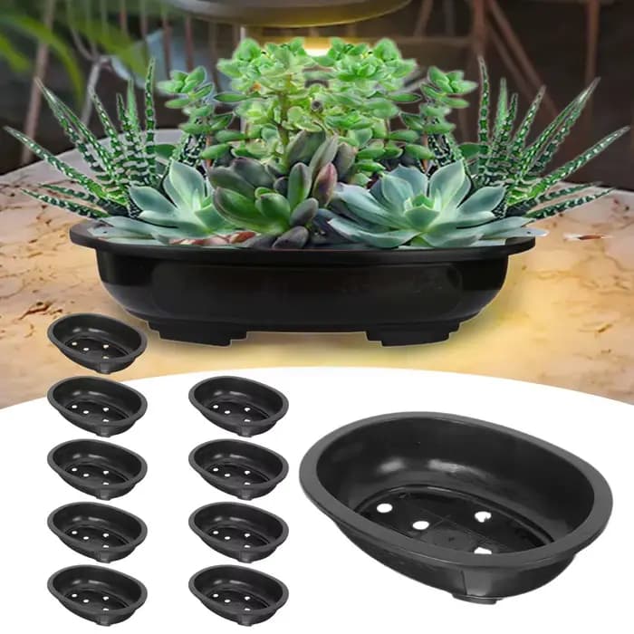 10 pièces Pots d'entraînement de bonsaï Pot de jardinière