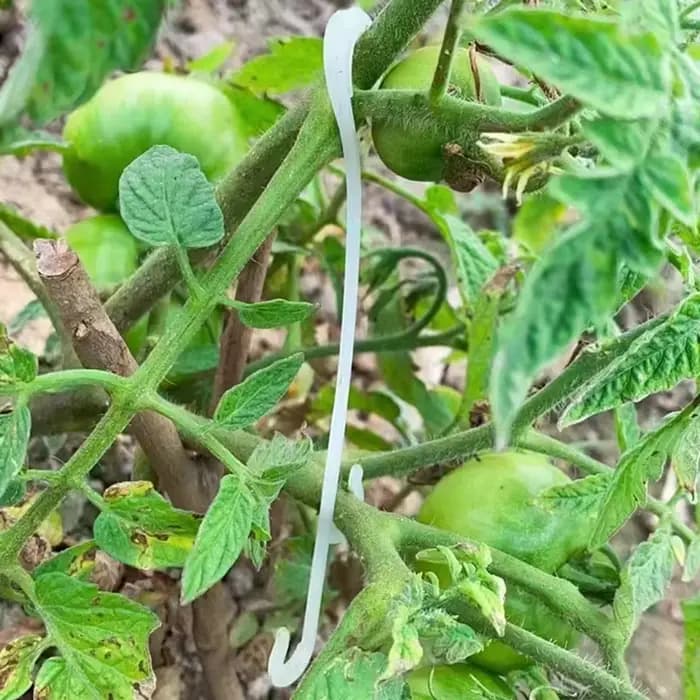 Crochets J de support de tomate pour plantes, pinces à légumes pour empêcher les grappes de fruits T