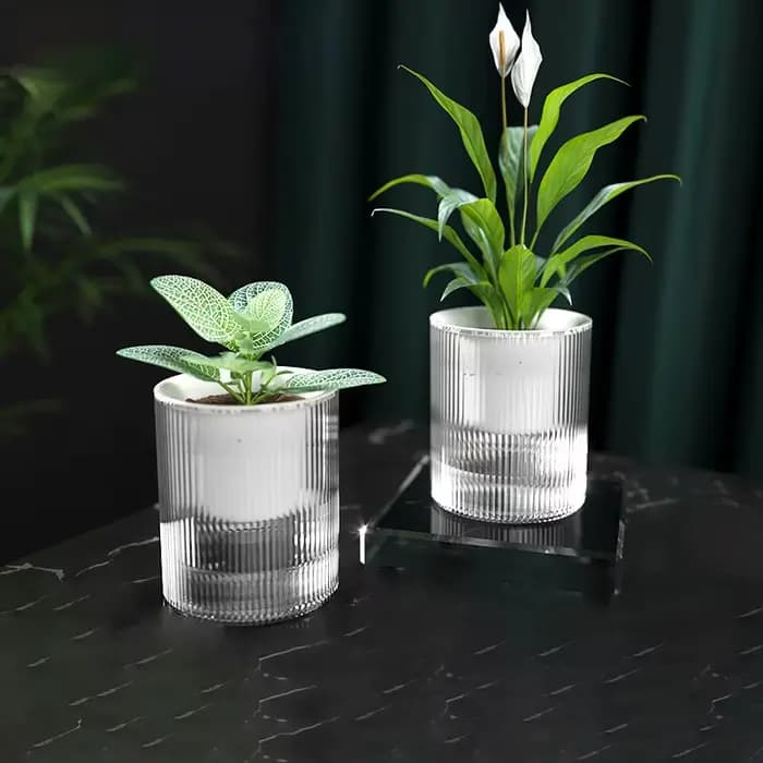 Pot de fleurs auto-arrosage pour plantes hydroponiques succulentes d'intérieur, Mini Pots de jardinière pour aquarium, Pot de fleur de table, décor de bonsaï pour la maison