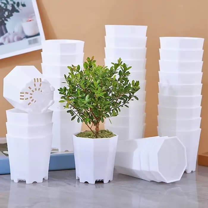 Mini pot de fleurs octogonal en plastique, petit pot à semis solide, respirant, blanc, décoration de