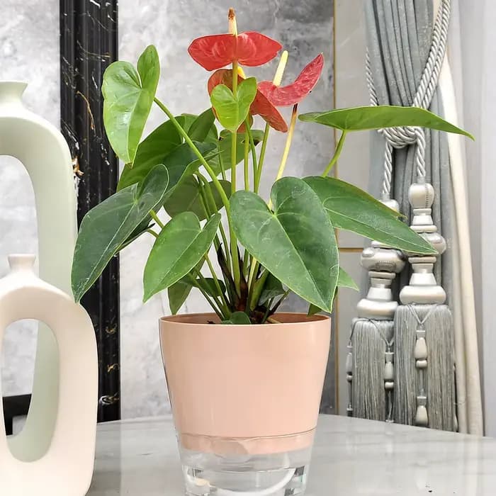 Pot de Fleur Paresseux avec Trou de Proximité pour Plantes d'Nik