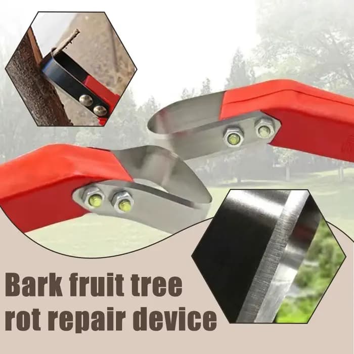 Couteau à écorce pour grattage d'arbres fruitiers