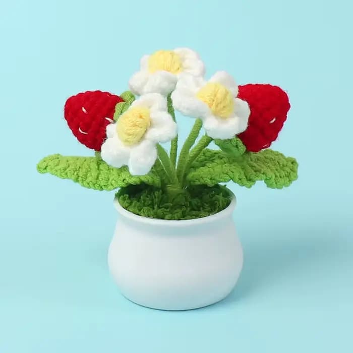 Crochet fraise en Pot créatif tricot Pot de fleur fleurs