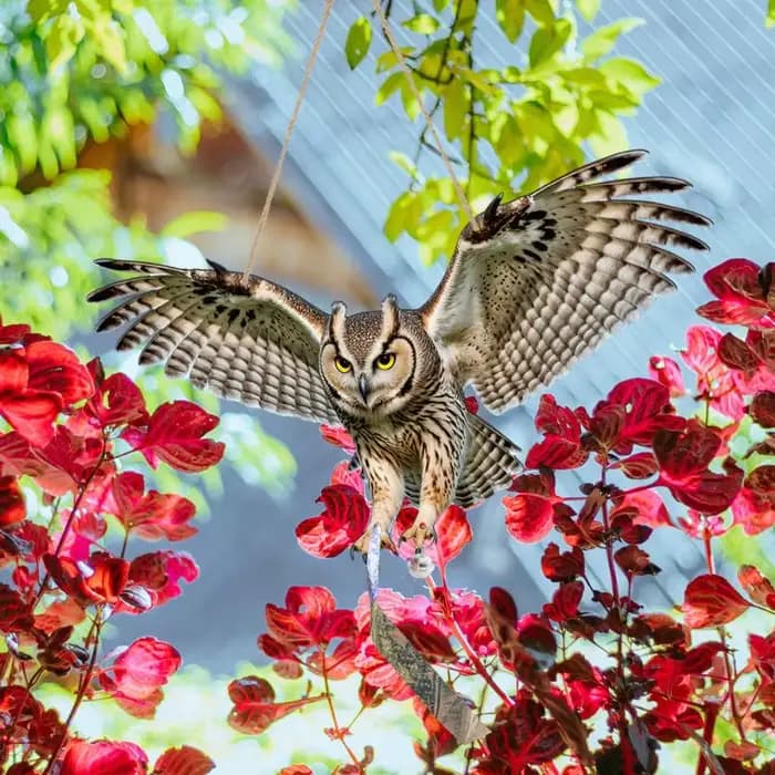 Répulsif d'Oiseaux Imperméable : Simulation Hibou Répulsif Anti-Nuisibles Artificiel avec Réflecteur