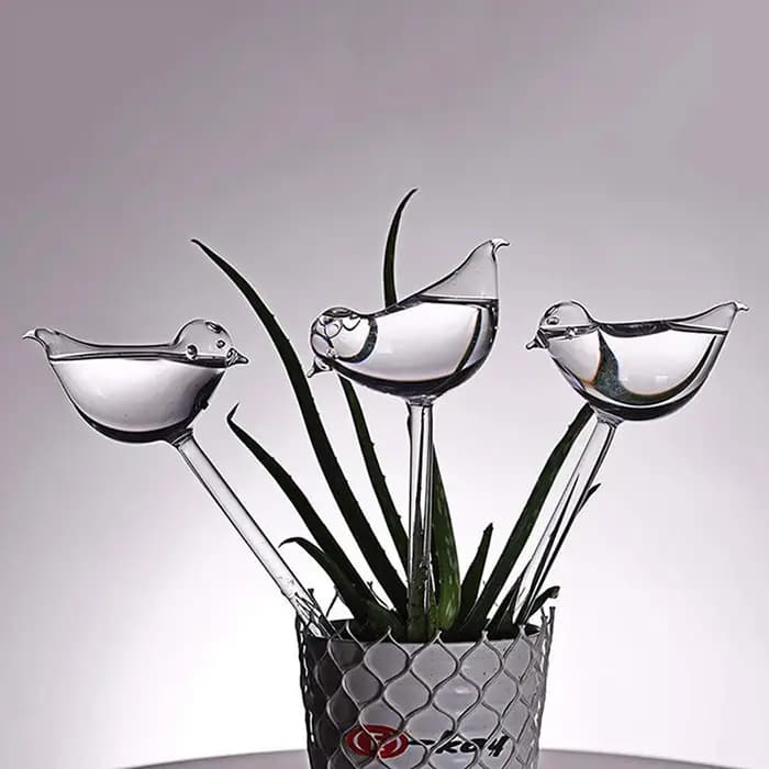 Globes d'arrosage automatique pour abreuvoir pour plantes, ampoules aquatiques claires souffées à la