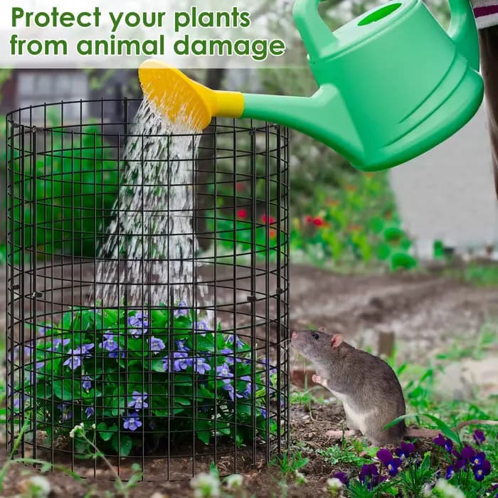 Cages pour plantes en maille de fer, 15 pièces, pour garder les animaux en dehors des plantes de jar