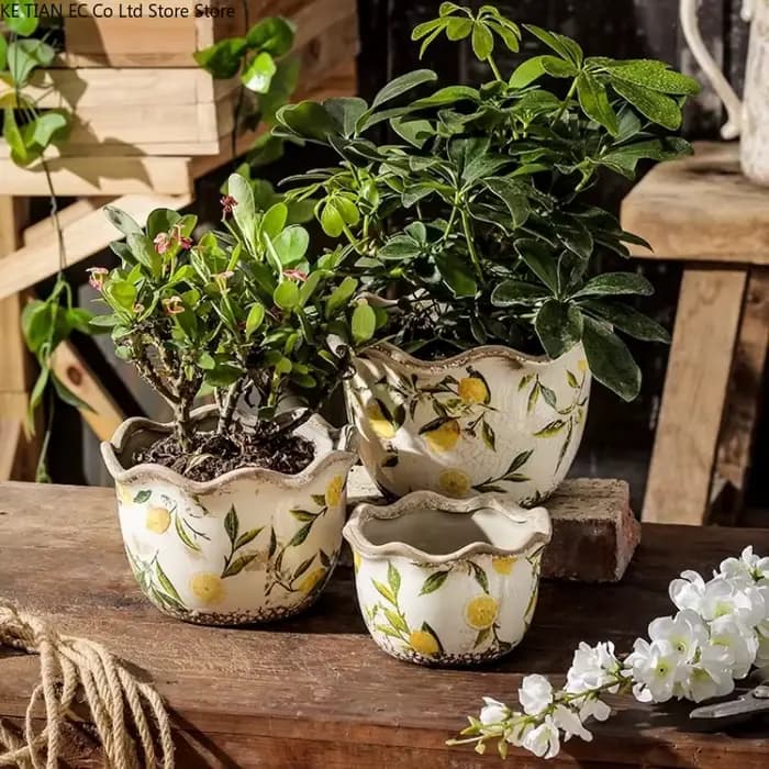Pot de fleur en céramique en forme de citron Pot succulent Vintage Pot de plante