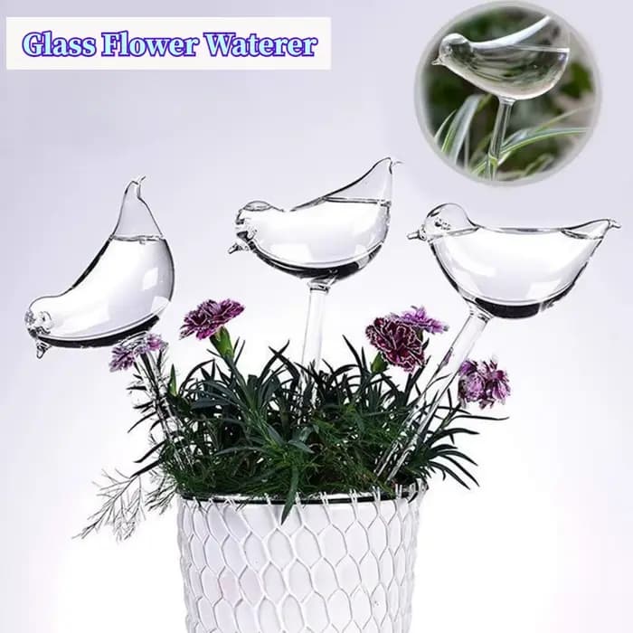 Globes en verre auto-arrosage pour arrosoir de plantes