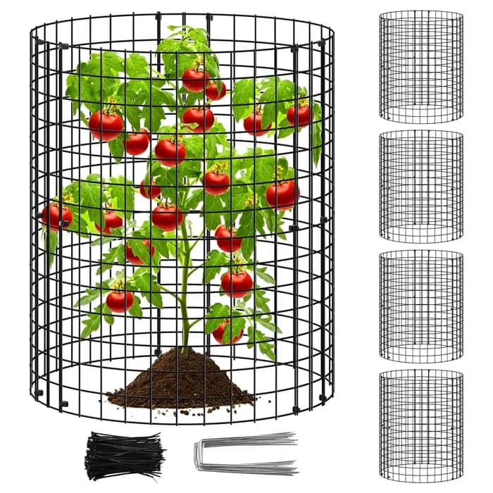 Cages pour plantes en maille de fer, 15 pièces, pour garder les animaux en dehors des plantes de jar