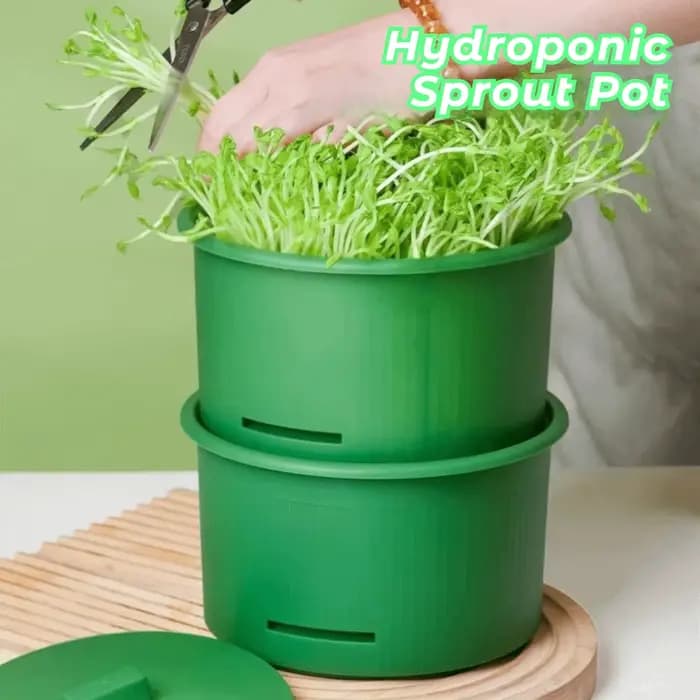Pots de pépinière en plastique pour germes de haricots