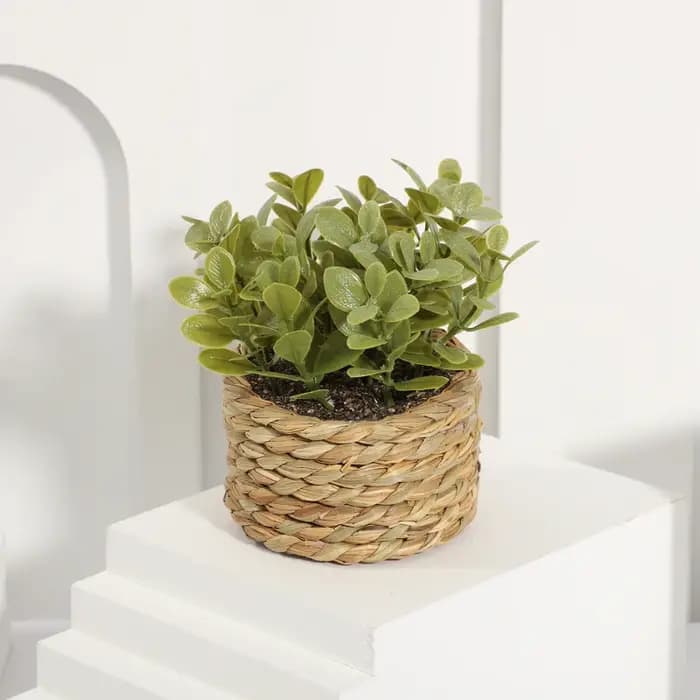 Plante en Pot petites fausses plantes, décoration intérieure pour la maison, Pot décoratif pour salon, bureau, fausse verdure réaliste