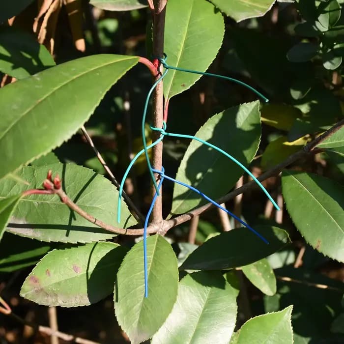 Attaches de câble de jardinage rondes, fil de fer réutilisable, torsadé, pour plantes à fleurs, vign