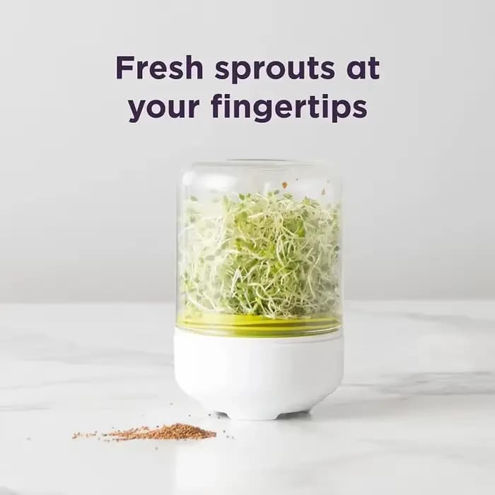 Kit de germes de comptoir, récipient de culture de graines réutilisable pour la cuisine, jardinage,