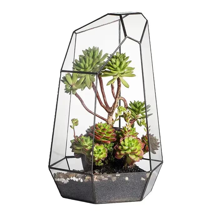 Jardinière en verre pour décoration de jardin de maison