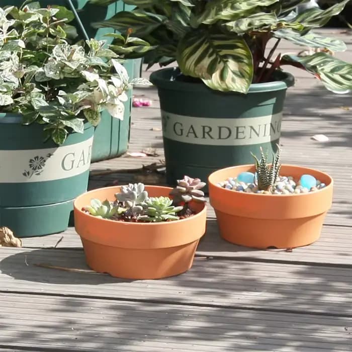 Plateau en Imitation de terre cuite pour plantes