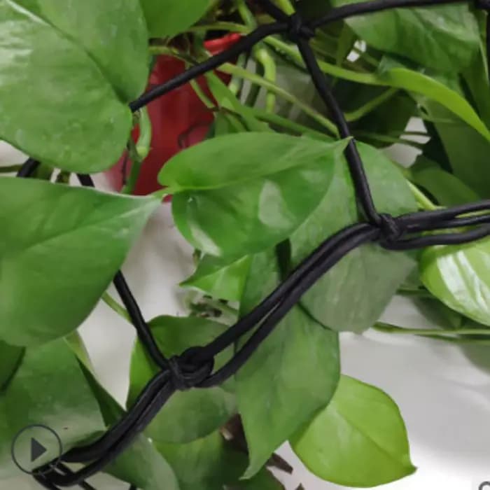 Tente de culture en Polyester élastique, filet en treillis extensible, Support de plantes avec 4 cro
