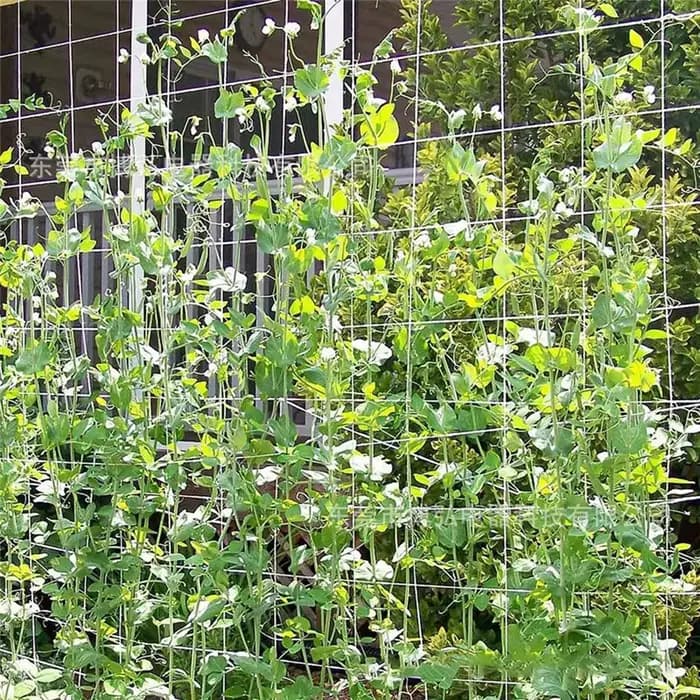 Filet d'escalade en maille pour plantes, filet de luffa pour téléphones, fleurs de vigne de gloire,