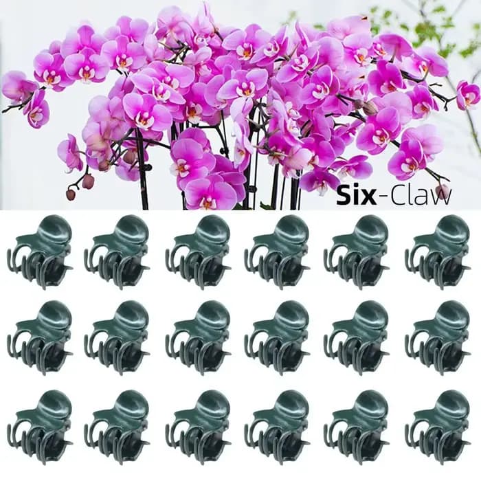 Pince de support en plastique pour plantes de jardin, orchidée papillon, fleur, fruits et légumes, t