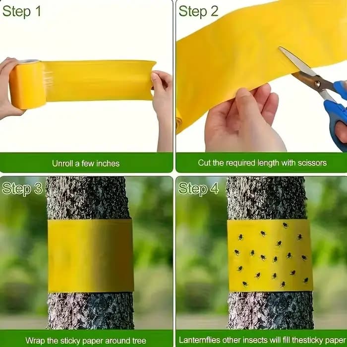 1 rouleau de ruban adhésif Double face pour barrière contre les insectes
