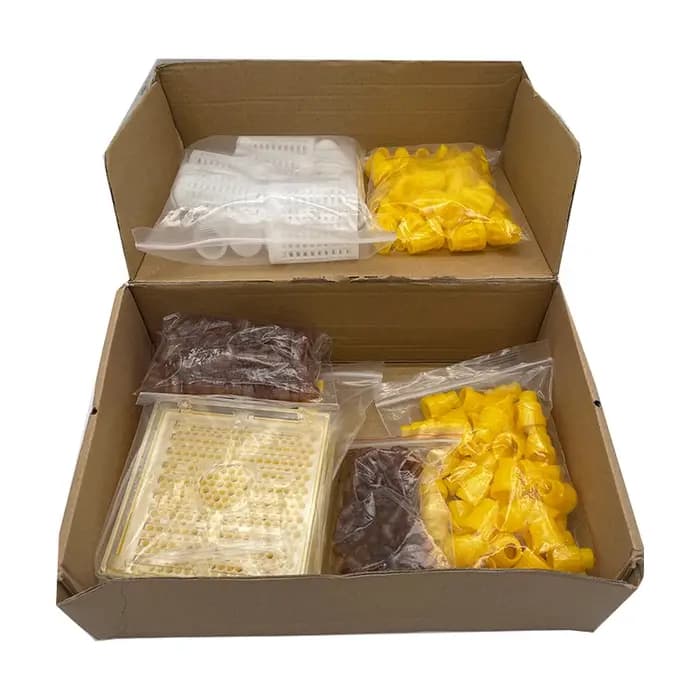 Jenter – Kit d'élevage de reine