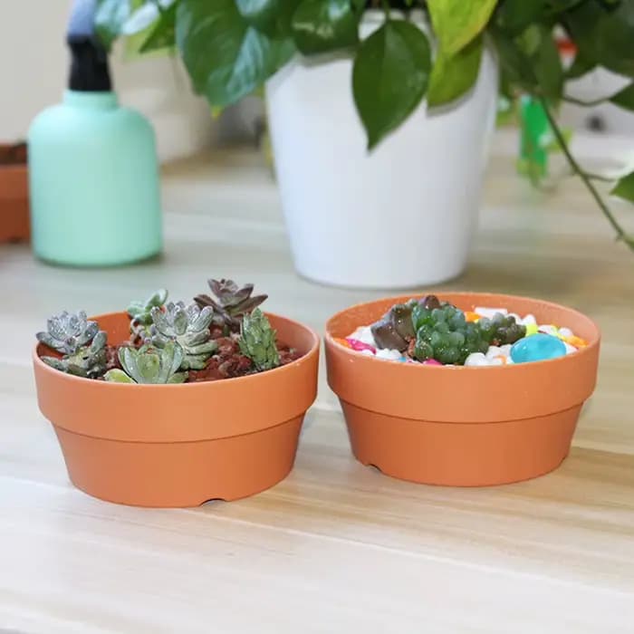 Mini pots de fleurs succulentes, Mini jardinières, décoration de bureau, accessoires de jardin et de