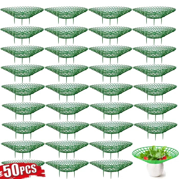 Supports pour plantes à fraises, 5 à 50 pièces, avec 3 jambes robustes, supports de culture de frais