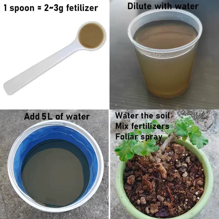 Engrais Microbien Agricole 100g Bacillus Subtilis 100 Milliards de UFC – Stimule l'Activité du Sol e