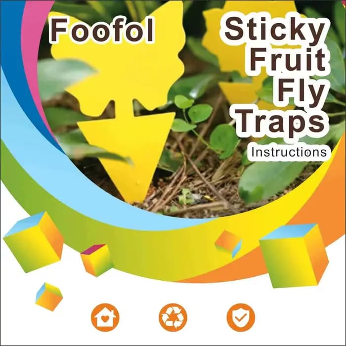 Pièges à mouches aux fruits, pièges à moustiques aux champignons, pièges à insectes collants jaunes, sans danger et sans odeur pour une utilisation intérieure et extérieure, protège la plante