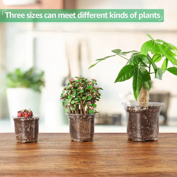 Pots de pépinière transparents de 3.5/4/5 pouces, jardinière en plastique Transparent avec trous de