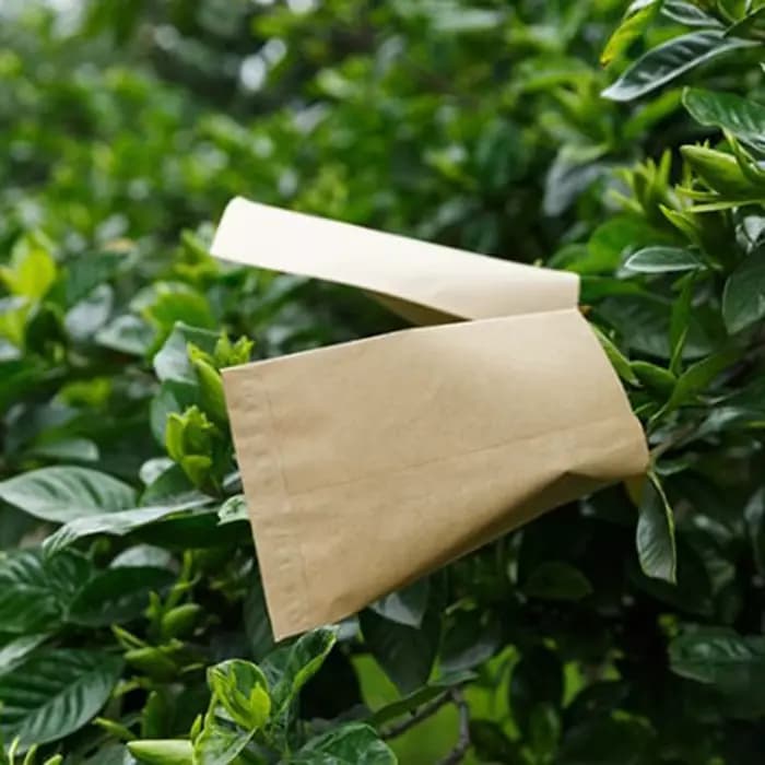 Sac en papier kraft pour les cadres, sac de trempage pour jardin, sac d'isolation PER en, sac de ran