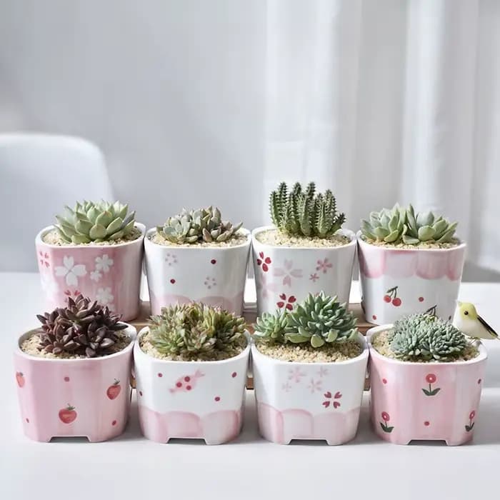 Pot de fleurs succulentes carré en céramique peint à la main pour fille rose