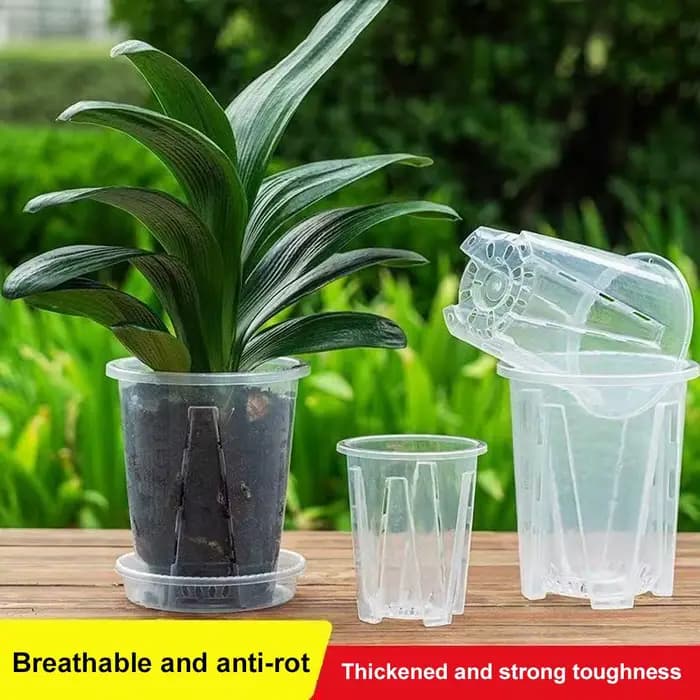 1 pot à orchidées respirant avec fentes de ventilation