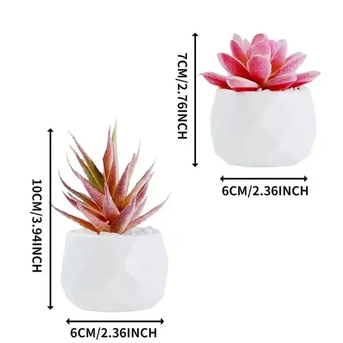2 pièces de bonsaïs succulents artificiels avec pot