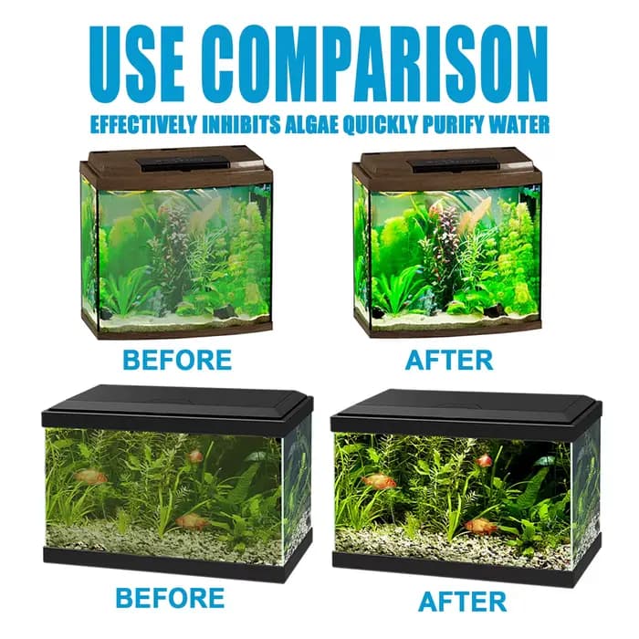 Comprimés de contrôle des algues pour Aquarium